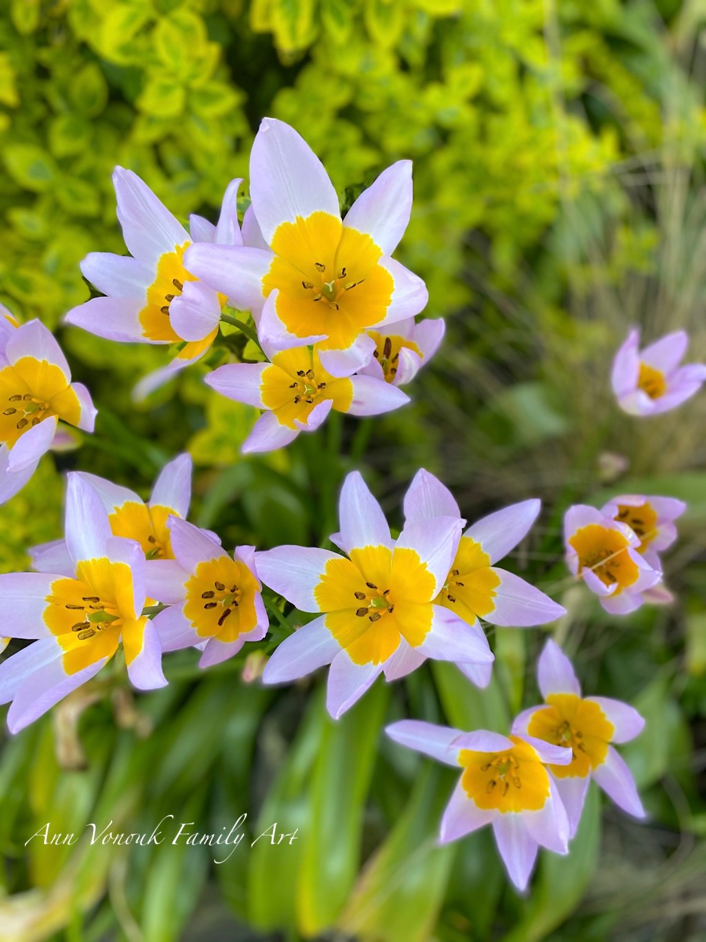 Spring 2025 Astrology Important&nbsp;Dates