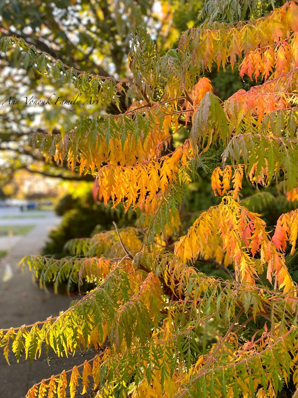 Eve, Persephone, and Lilith – Daughters of the World and A Life&nbsp;Evolved