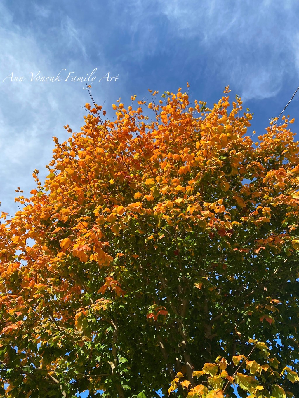 Power and Choice, Our&nbsp;Divinity