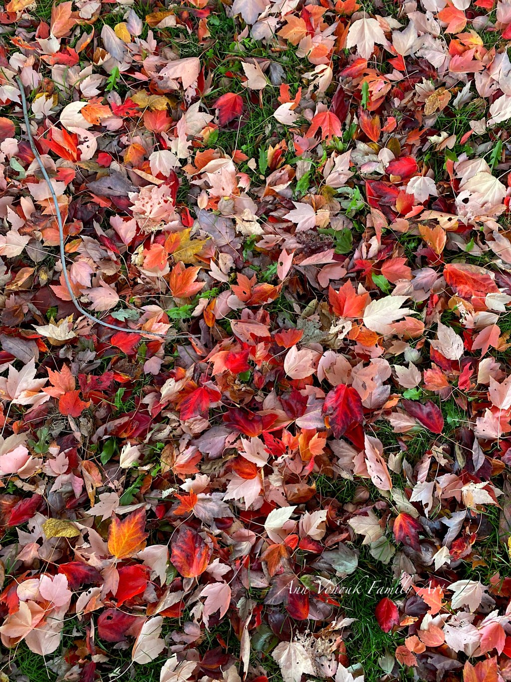 Witchcraft, A Case For: We Are All&nbsp;Witches